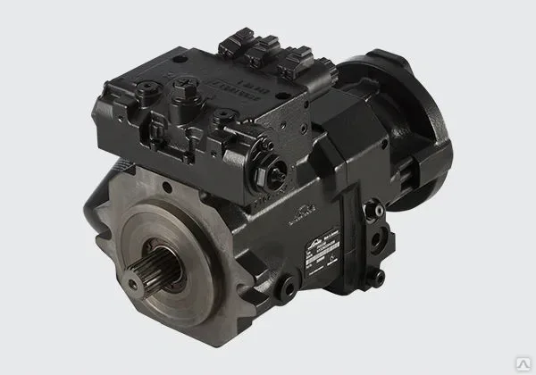 hpv55